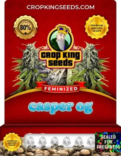 Casper OG
