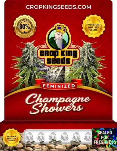 champagne-showers-image
