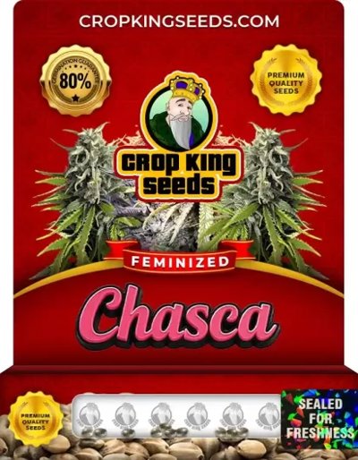 Chasca