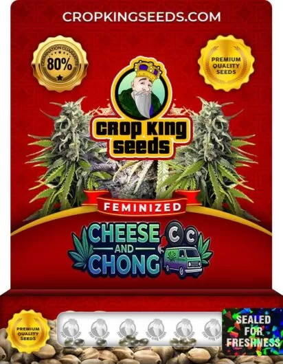 cheese-and-chong-image