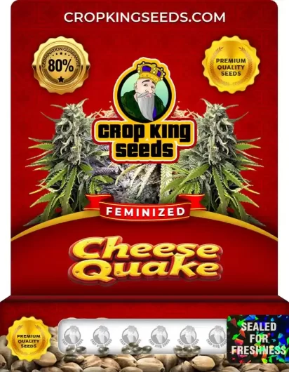 cheese-quake-image