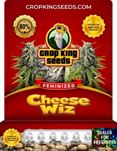 cheese-wiz-image