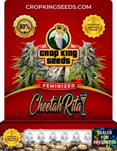 Cheetah Rita