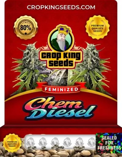 Chem Diesel