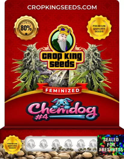 chemdog-4-image