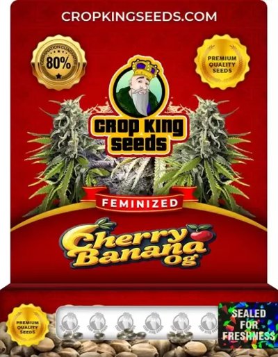 Cherry Banana OG