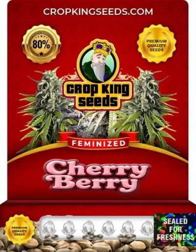 Cherry Berry
