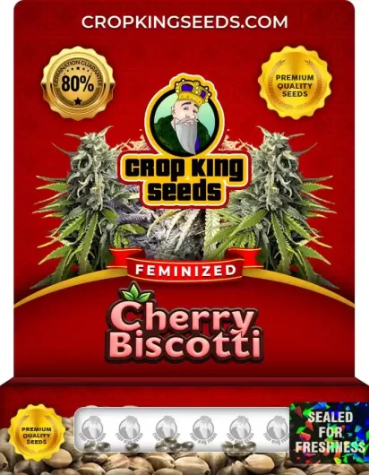 cherry-biscotti-image