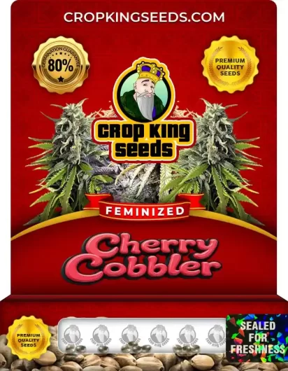 Cherry Cobbler