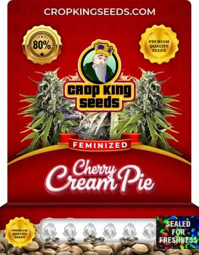 Cherry Cream Pie
