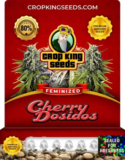 cherry-dosidos-image