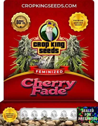 cherry-fade-image