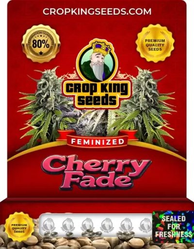 Cherry Fade