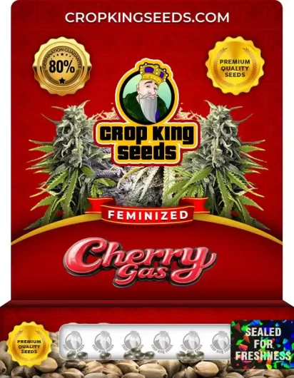 cherry-gas-image