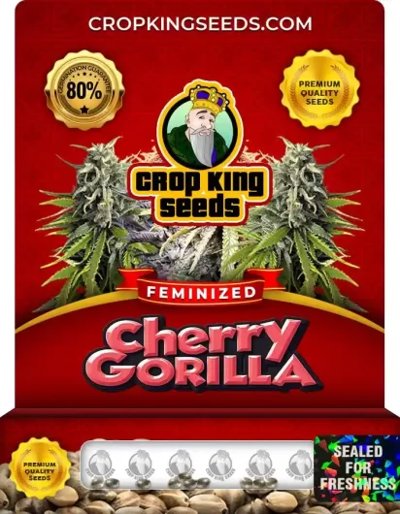 Cherry Gorilla