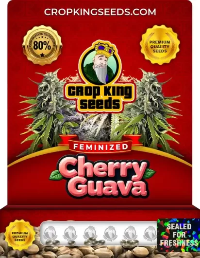 cherry-guava-image