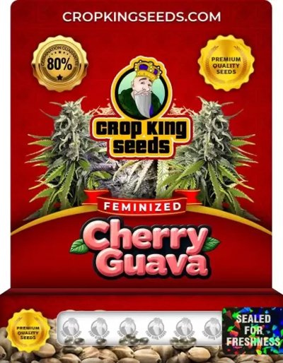 Cherry Guava