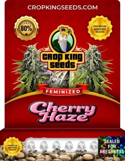 Cherry Haze