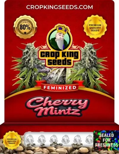 Cherry Mintz