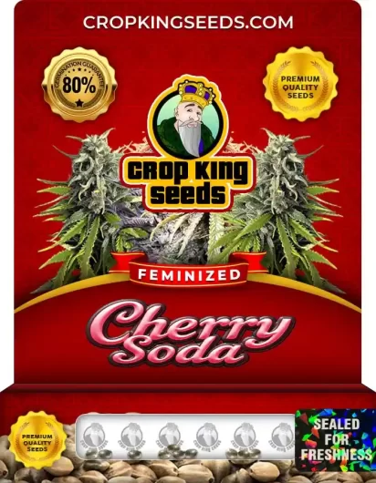 cherry-soda-image