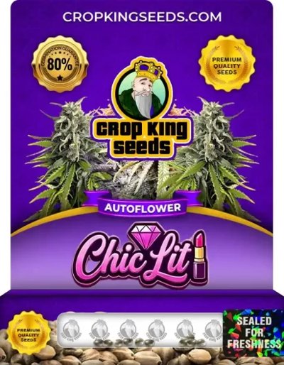 Chic Lit Autoflower