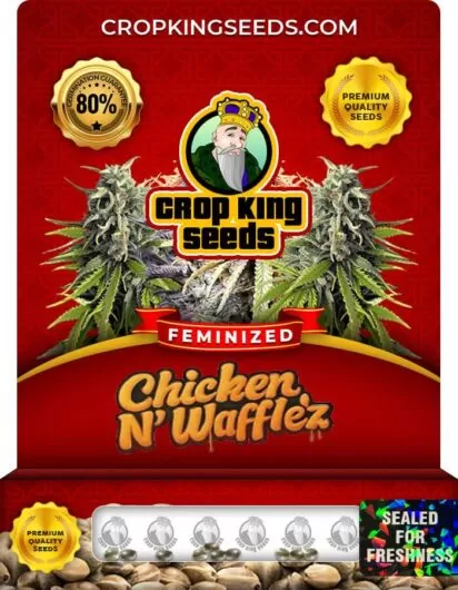 chicken-n-wafflez-image