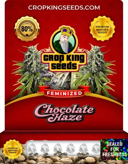 chocolate-haze-image