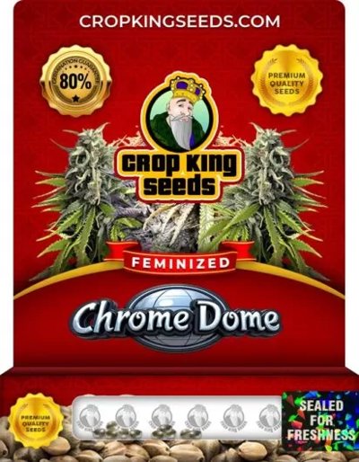 Chrome Dome
