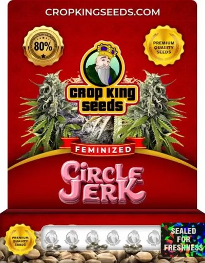 Circle Jerk