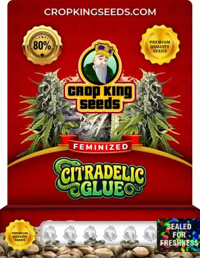 citradelic-glue-image