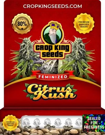 Citrus Kush
