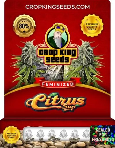 Citrus Sap