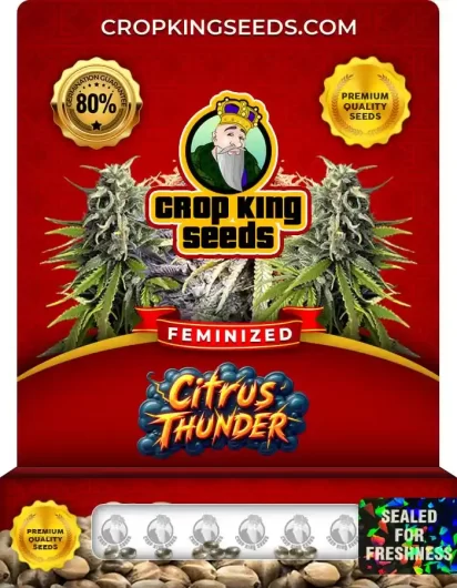 citrus-thunder-image
