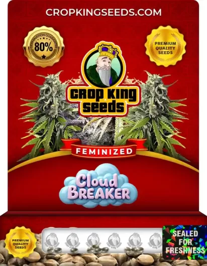 cloud-breaker-image