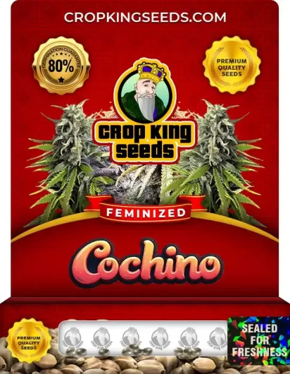 cochino-image