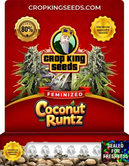 coconut-runtz-image