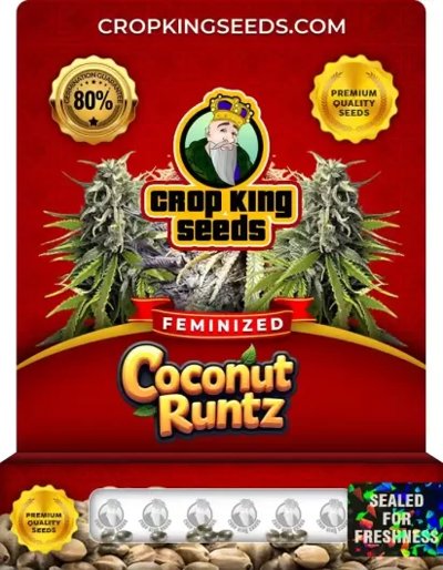 Coconut Runtz