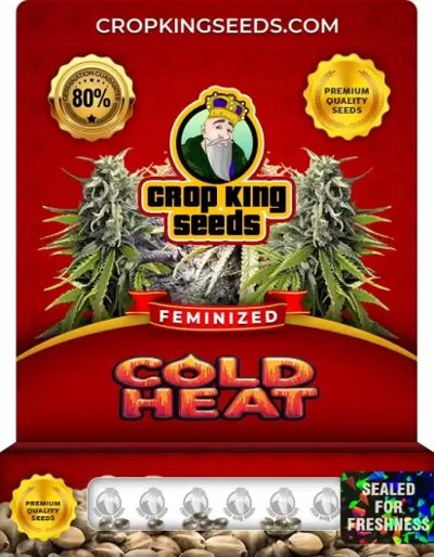 Cold Heat