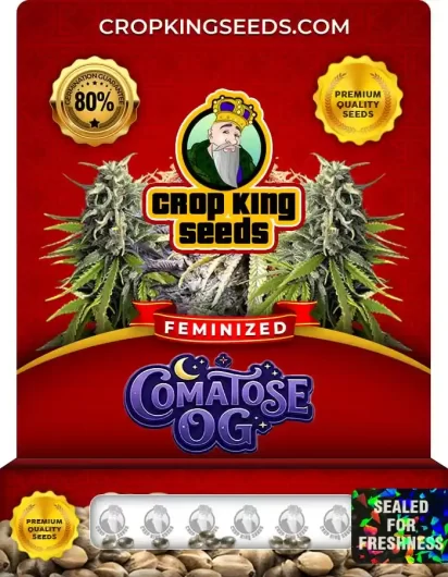 comatose-og-image