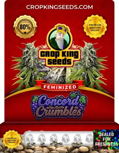 Concord Crumbles