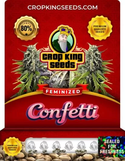 confetti-image