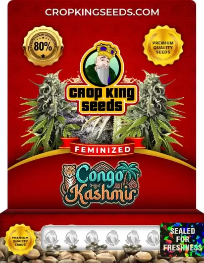 congo-kashmir-image