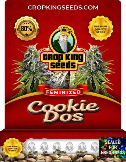 cookie-dos-image