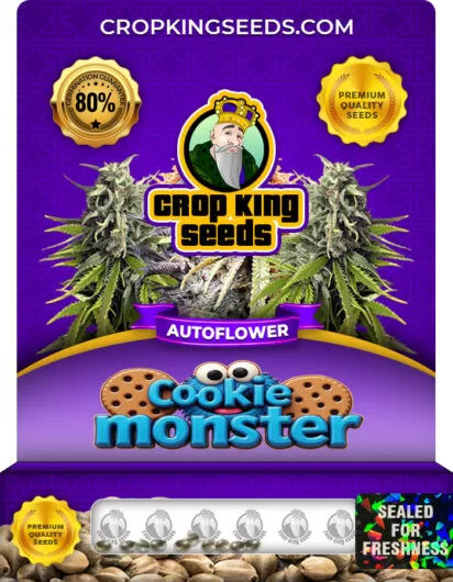 cookie-monster-autoflowering-image