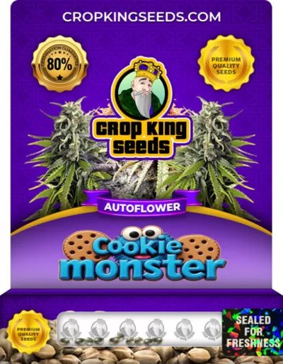 Cookie Monster Autoflowering