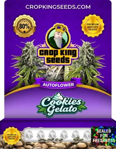 Cookies Gelato Autoflower