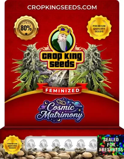 cosmic-matrimony-image