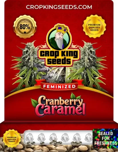 cranberry-caramel-image