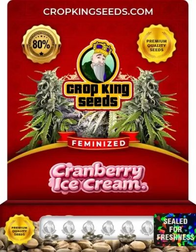 Cranberry Ice Cream