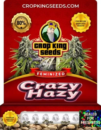crazy-hazy-image